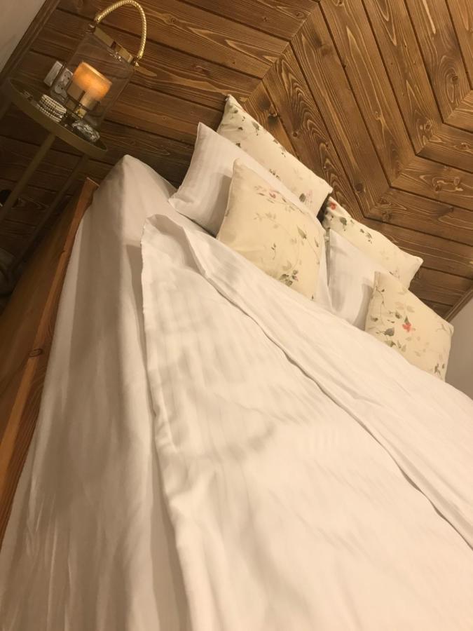 זקופאנה Apartamenty Ermitage מראה חיצוני תמונה